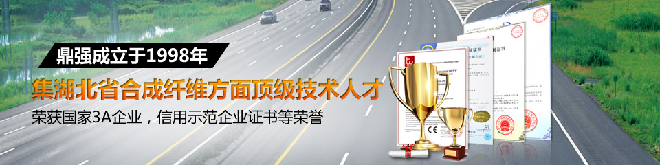 鼎強(qiáng)，集合成纖維方面頂級(jí)技術(shù)人才